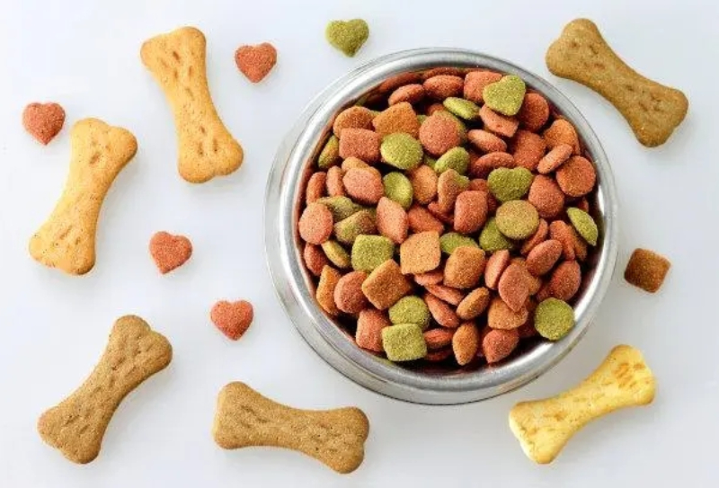 寵物食品出口全攻略：從操作流程到費用明細！